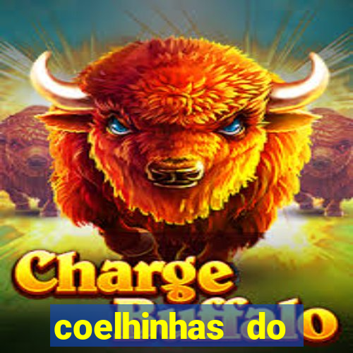 coelhinhas do brasil site